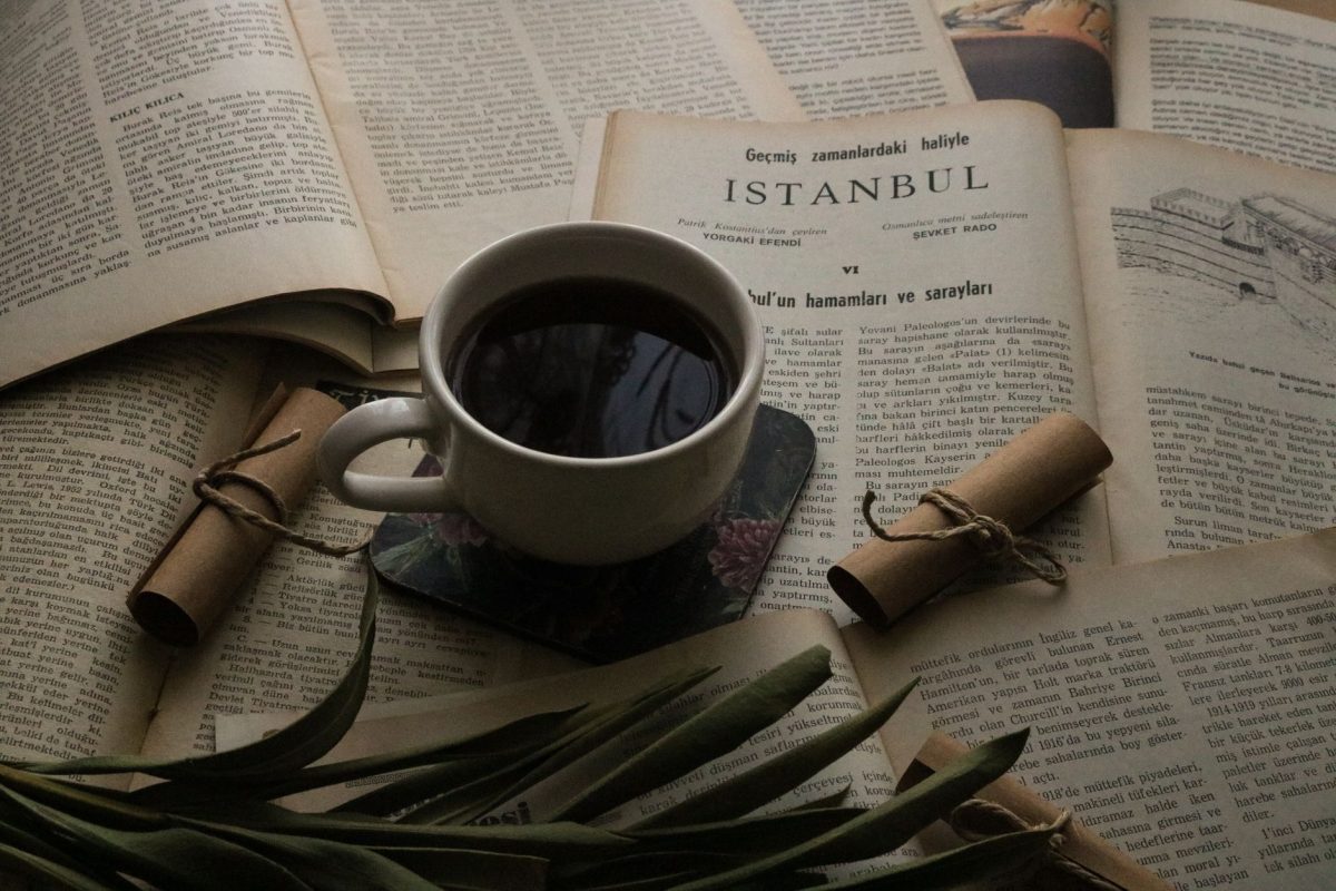Tedbir Nafakası Nedir