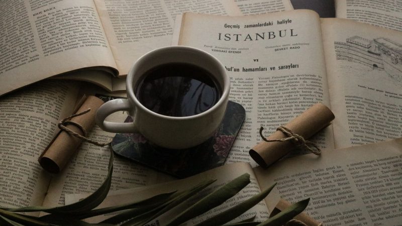 Tedbir Nafakası Nedir